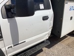 General Appearance with Paint