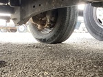 Underbody with Right Steer Tire