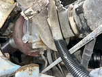Engine with Exhaust System