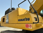 General Appearance with Paint