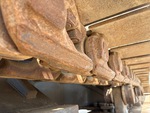 Undercarriage with Left Track Links