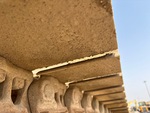Undercarriage with Left Track Shoes