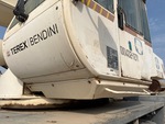 General Appearance with Paint