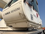 General Appearance with Paint