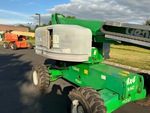 General Appearance with Paint