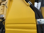 General Appearance with Paint