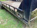 General Appearance with Paint