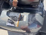 General Appearance with Paint