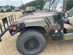 General Appearance with Paint