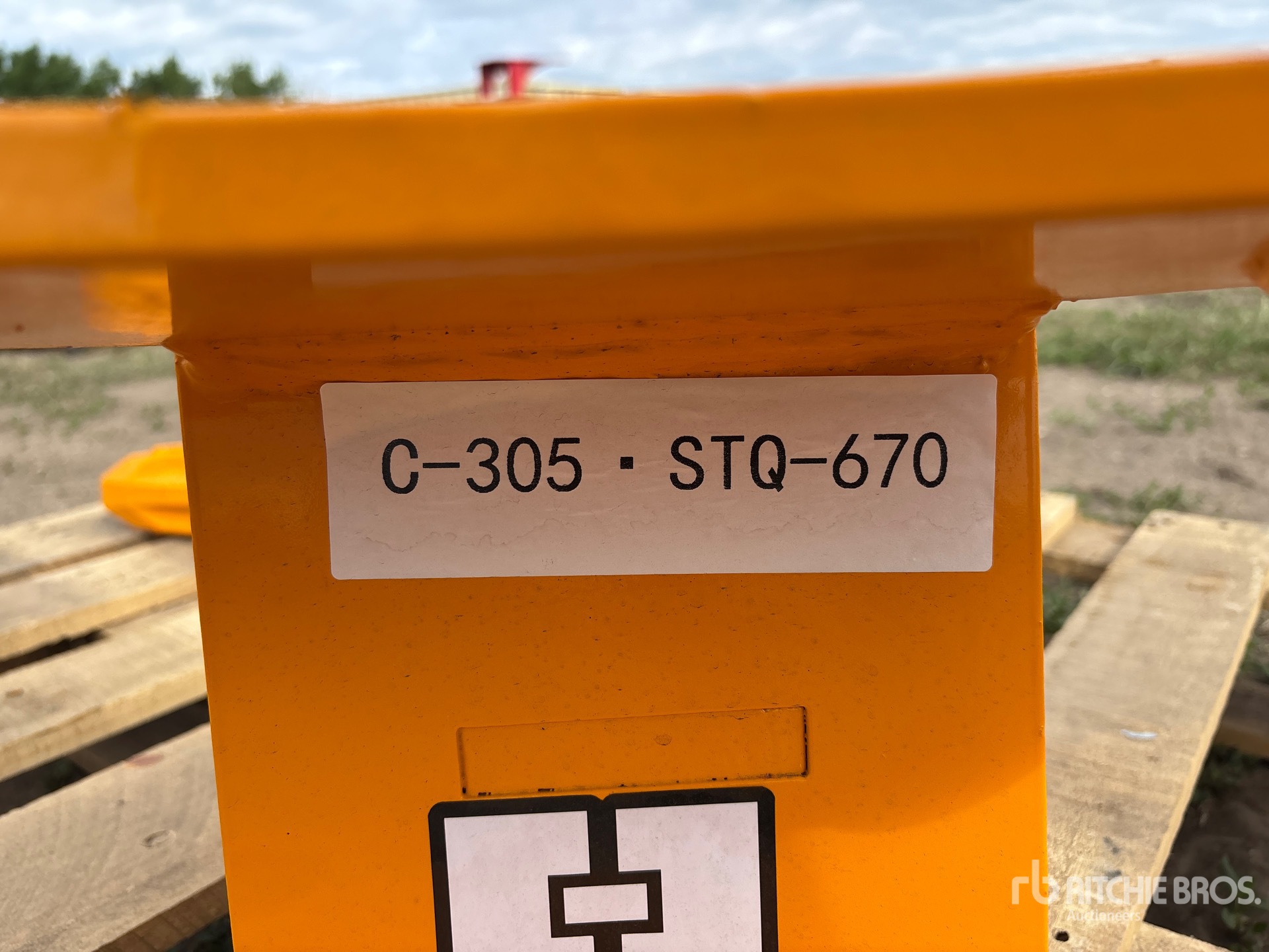 General Appearance with Numero seriale/numero d’identificazione del veicolo (VIN)