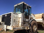 General Appearance with Paint