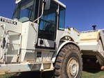 General Appearance with Paint