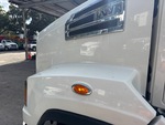 General Appearance with Pintura