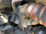 Engine with Exhaust System