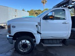 General Appearance with Paint