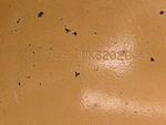 General Appearance with Numero seriale/numero d’identificazione del veicolo (VIN)