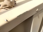 General Appearance with Paint