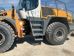 General Appearance with Steps/Ladders