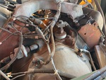 Engine with Oil Pump/Tach Drive (behind doghouse cover)