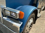 General Appearance with Pintura