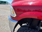 General Appearance with Paint