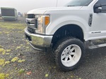 General Appearance with Paint