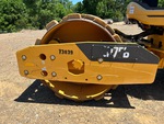 General Appearance with Paint