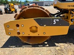 General Appearance with Paint
