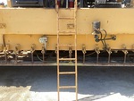 General Appearance with Scalini/scale