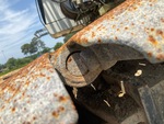 Undercarriage with Left Track Bushings