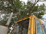 General Appearance with Exterior Lights