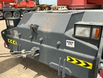 General Appearance with Paint