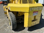 General Appearance with Paint
