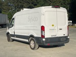 Picture, Left Rear Corner