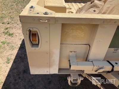 General Appearance with Paint
