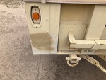General Appearance with Paint