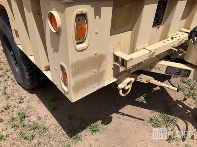 General Appearance with Paint