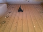Chassis with Deck/ Floor Condition
