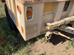 General Appearance with Paint