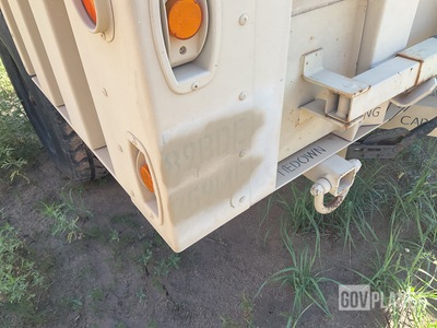 General Appearance with Paint