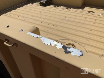 General Appearance with Paint