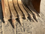 Specialty with Cutting Edge / Teeth / Adapters