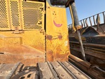 General Appearance with Peinture