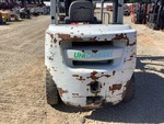General Appearance with Paint