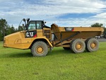 General Appearance with Paint