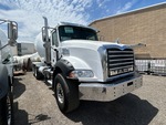 General Appearance with Paint