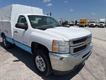 General Appearance with Paint
