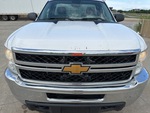General Appearance with Paint