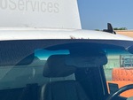 General Appearance with Paint