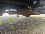 Engine with Exhaust System